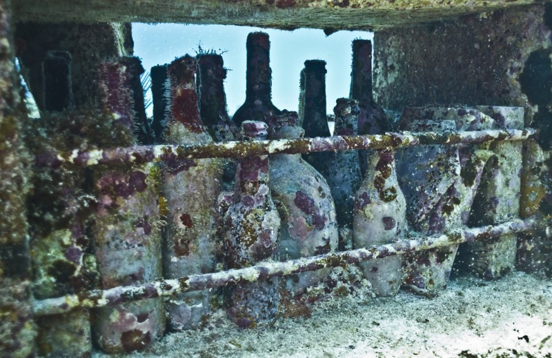 Illustration for article titled The Astonishing Treasures of Underwater Art Galleries